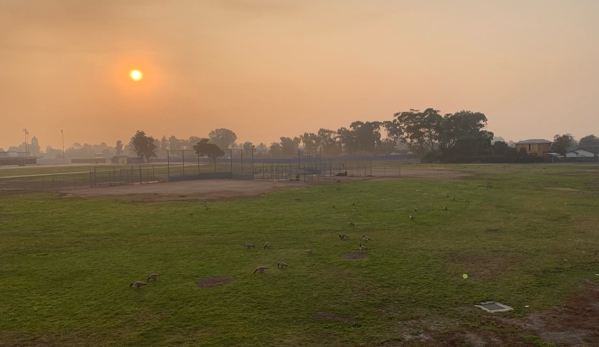 Brookvale Elementary - Fremont, CA