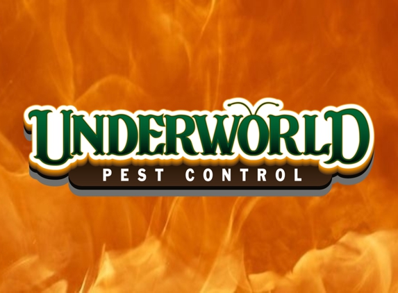 Underworld Pest Control - Katy, TX