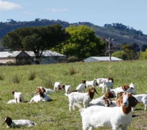 NRLinks Pty Ltd - Clunes, VIC