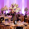 Event Design gallery