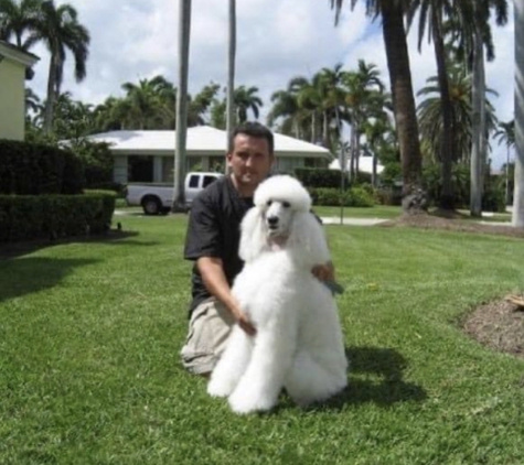 Mymobiledog - Miami Beach, FL. 1999 La Gorce Island, Miami Beach FL