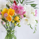Basket of Flowers - Florists