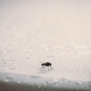 All-Out Pest Control gallery