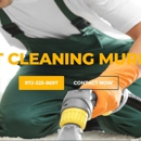 CARPET CLEANING MURPHY TX - Air Duct Cleaning