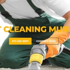 CARPET CLEANING MURPHY TX