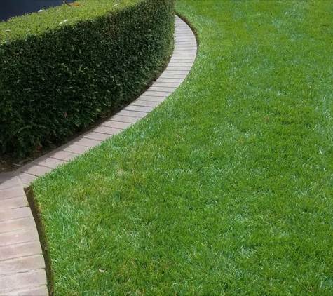 Hortum Tree Services - Jerrabomberra, NSW