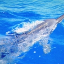 Wahine Charters - Boat Tours