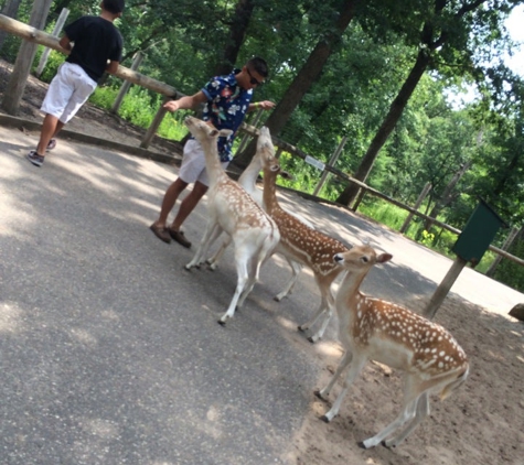 Wisconsin Deer Park - Wisconsin Dells, WI