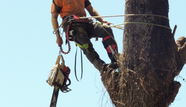 Branching Out Tree Care - Barragup, WA