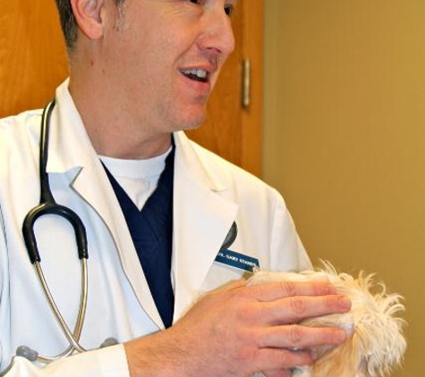 Animal Hospital At Auburn Hills - Wichita, KS