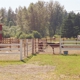 Arciniega Stables