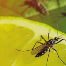 Pest Elimination - Pest Control Equipment & Supplies