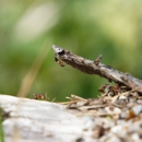 Musick Pest Control - Pest Control Equipment & Supplies
