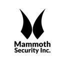 Mammoth Security Inc. New Britain - Security Control Systems & Monitoring