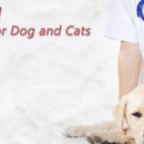 Ina Road Animal Hospital - Pet Services