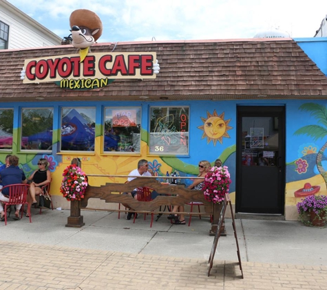 Coyote Cafe - Hamburg, NY