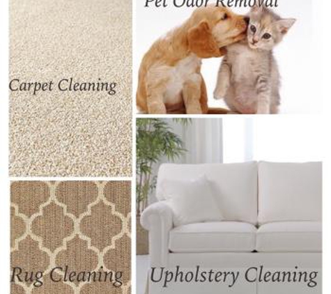 Safe-Dry Carpet Cleaning of Charlotte - Charlotte, NC