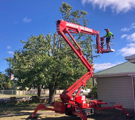 Rob Jamieson Tree & Stump Removal - Colac East, VIC