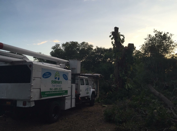 Stillman's Tree Service - Bradenton, FL. Stillman Tree Service after tree chopped