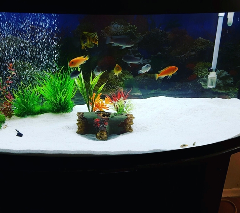 Ray Aqua Scaping - Allentown, PA