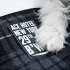 Ace Hotel New York