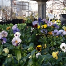 Davis Florist / The Plant Place - Garden Centers