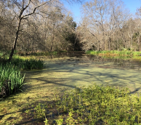 Armand Bayou Nature Center - Pasadena, TX