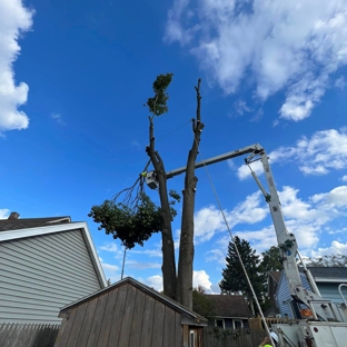 J & J Tree Services - Herkimer, NY