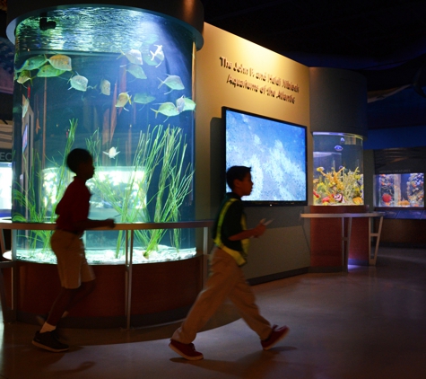 South Florida Science Center and Aquarium - West Palm Beach, FL