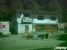 Elks Lodge - Community Organizations