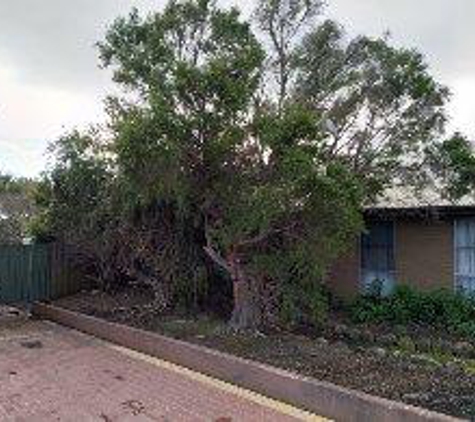Rob's Tree Service - Tyers, VIC