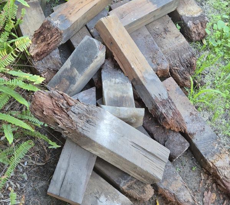 West Coast Stumping Solutions - Bayswater, WA. Amongst these rotten stumps Dave even found a few old cans lol