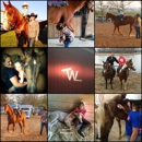 Wofford Ranch - Ranches