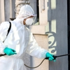 Diamond Exterminating Inc gallery