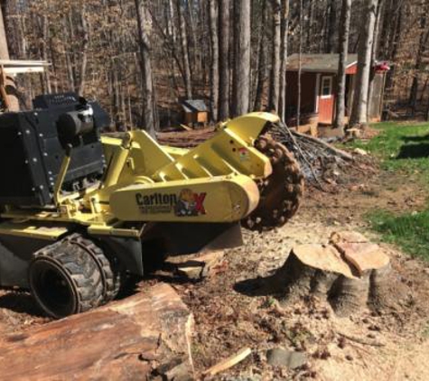 Alexandria Tree Services Unlimited - Alexandria, VA