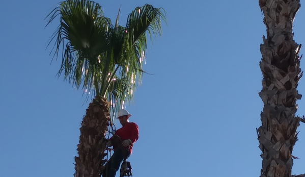 D & A Tree Service Inc - Bakersfield, CA