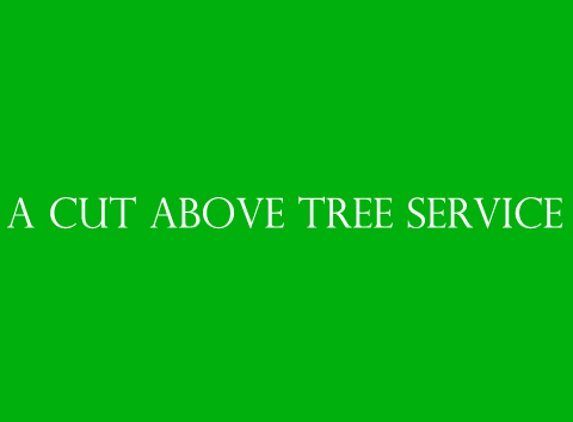 A Cut Above Tree Service - Niles, MI