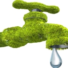 Green Plumbing Services, LLC