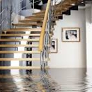 Water Damage Squad - Water Damage Restoration