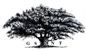 Genealogical Society NT