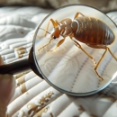 Moxie Pest Control - Pest Control Equipment & Supplies