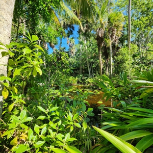 McKee Botanical Garden- - Vero Beach, FL. A relaxing day at the McKee Botanical Gardens for Bill Lewis of Vero Beach. 