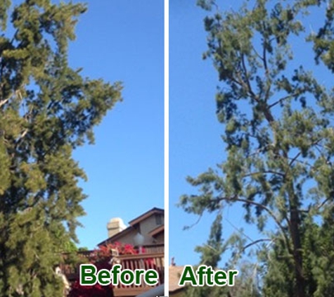 All Access Tree Care - El Cajon, CA