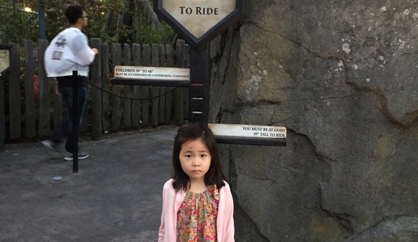Flight of the Hippogriff - Universal City, CA