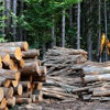 Brooks Tree Service & Forest Products gallery