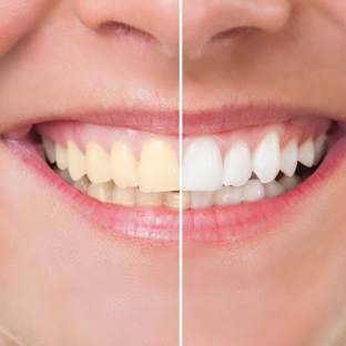 Braddon Dental Surgery
