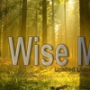 Tree Wise Men LLC gallery