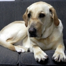 Bed And Bone Too - Pet Boarding & Kennels