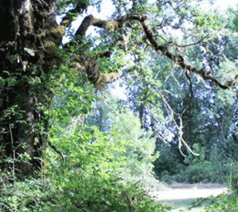 Furthurside Campground - Elmira, OR