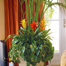 Tropical West Indoor Garden Center - Wholesale Plants & Flowers